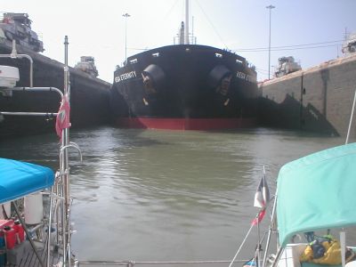 cargo vega